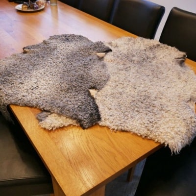Schappen lamshuiden natuurlijke decoratieve Polen producten