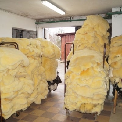Schappen lamshuiden natuurlijke decoratieve Polen producten